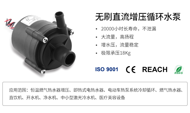 TL-C01-B 食品级增压泵-1.jpg